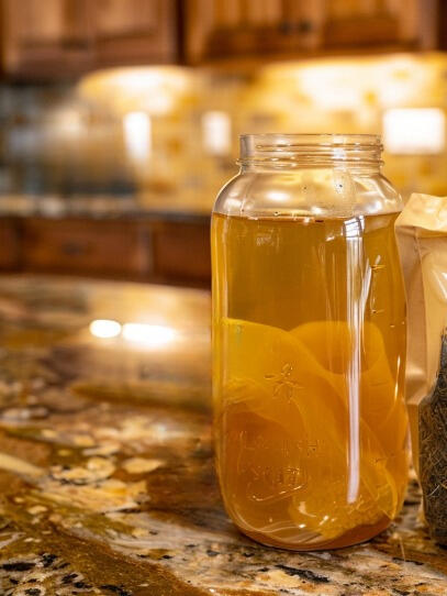 kombucha scoby